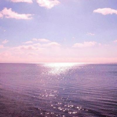 亚搏apo官网下载