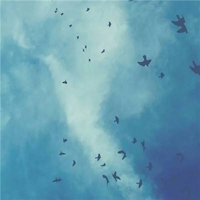 双赢彩票官方网站手机app下载截图