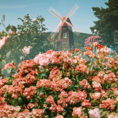 pg电子·模拟器(试玩游戏)app下载